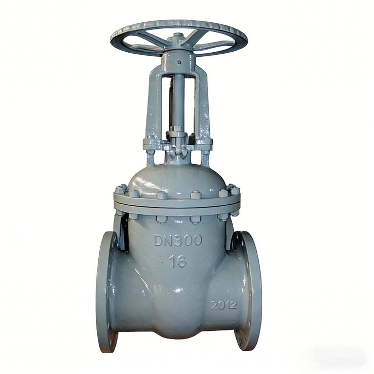 Gate Valve Z41H